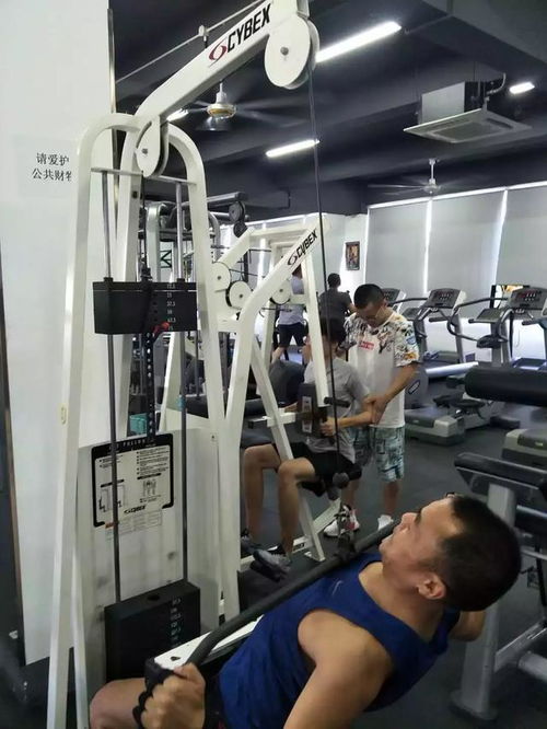 人民网测评 健身护具好帮手，ohmy fit健身护具全面评测报告